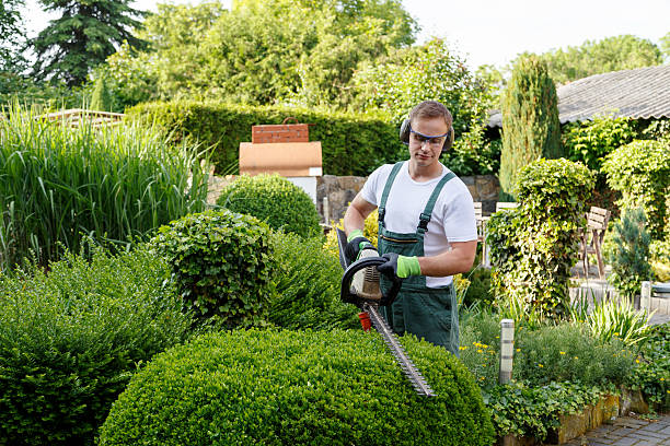 Lawn Watering Services in Victory Lakes, NJ